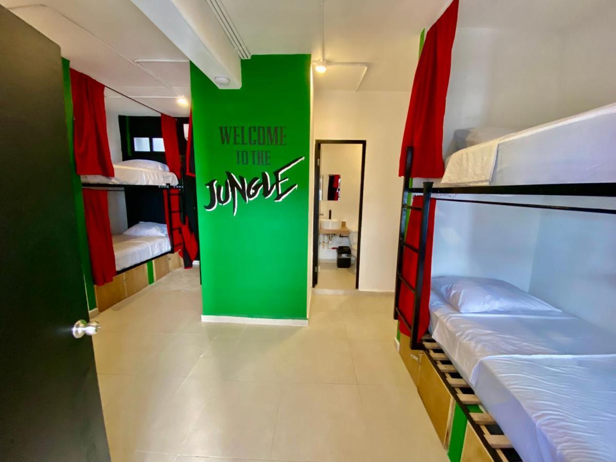 Hostal Why Not Rooftop Party